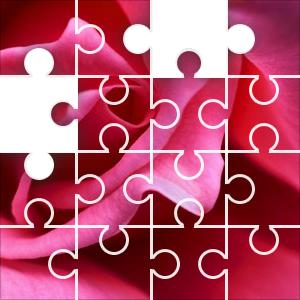 find the rose puzzle answer