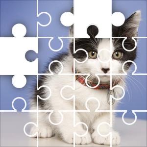 kitten jigsaw puzzles