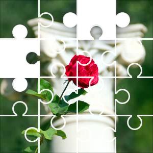 middleport rose puzzle