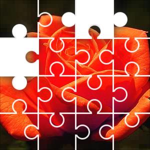 darlene rose puzzle
