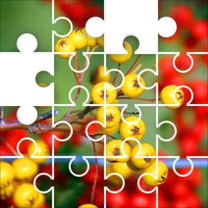 Berries 35 Piece Jigzone Jigsaw Puzzle - JigZone.com