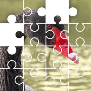 Black Swan 41 Piece Tetris Jigsaw Puzzle JigZone com