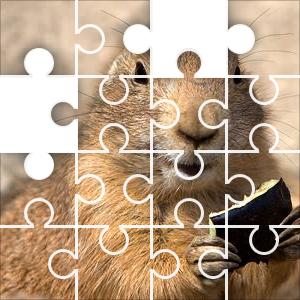 Prairie Dog Jigsaw Puzzle JigZone com