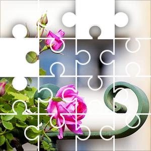 middleport rose puzzle