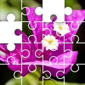 free daily jigsaw puzzle