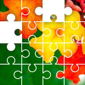 jigzonecompuzzlesdaily jigsaw