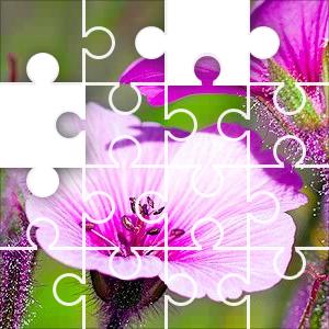 Daily Jigsaw Puzzle - Puzzle Of The Day - JigZone.com