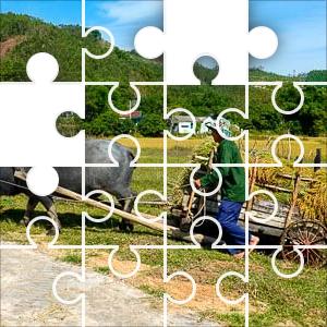 Jigzone puzzle deals of the day